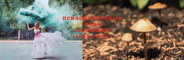 дмт Покачи