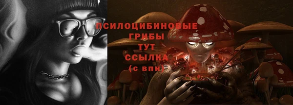 mix Пересвет