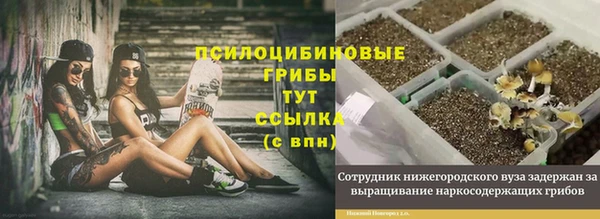 кристаллы Кулебаки