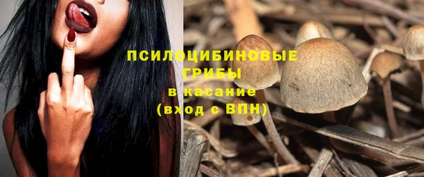 ГАЛЛЮЦИНОГЕННЫЕ ГРИБЫ Переславль-Залесский