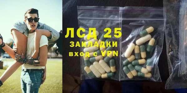 ГАЛЛЮЦИНОГЕННЫЕ ГРИБЫ Переславль-Залесский