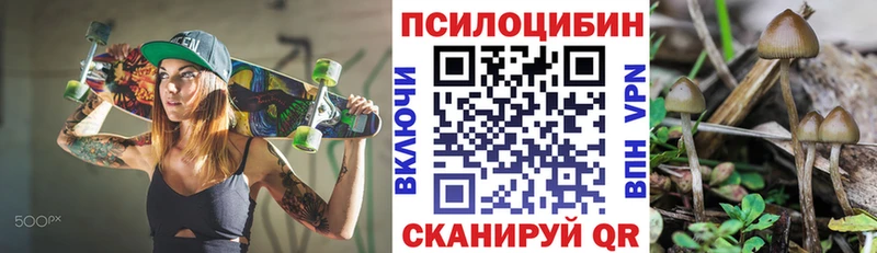 Галлюциногенные грибы Psilocybe  что такое   мега как войти  Коряжма 