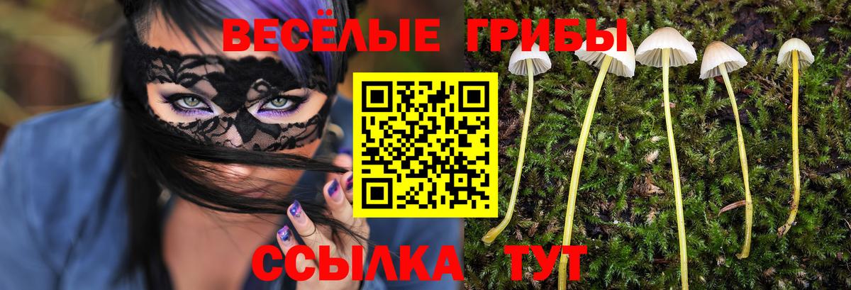 Галлюциногенные грибы мицелий Коряжма