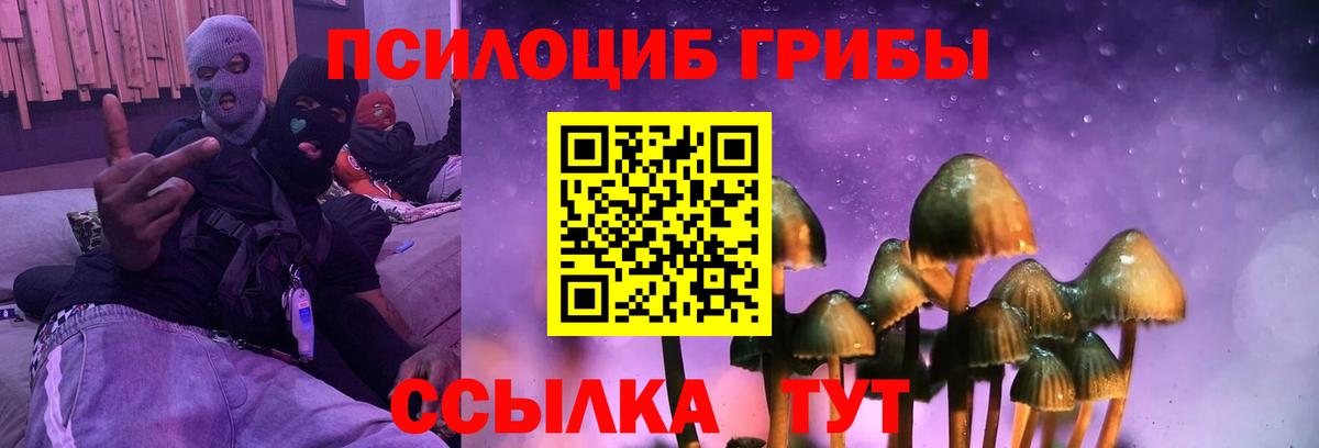 Коряжма  Псилоцибиновые грибы мицелий  Вход с VPN 